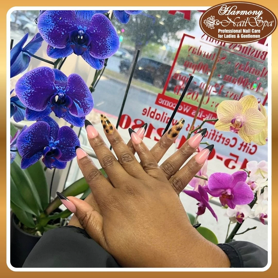 Nail Photo